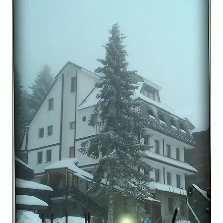 Lazic Suri アパート